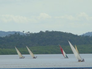 Regata de Canoas à Vela - Jaguaripe