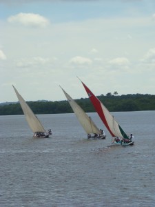 Regata de Canoas à Vela - Jaguaripe