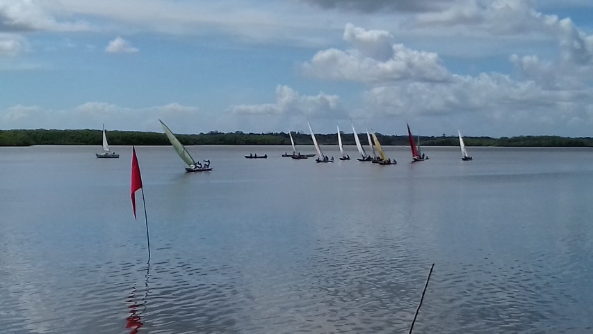 Regata 12 de Maio