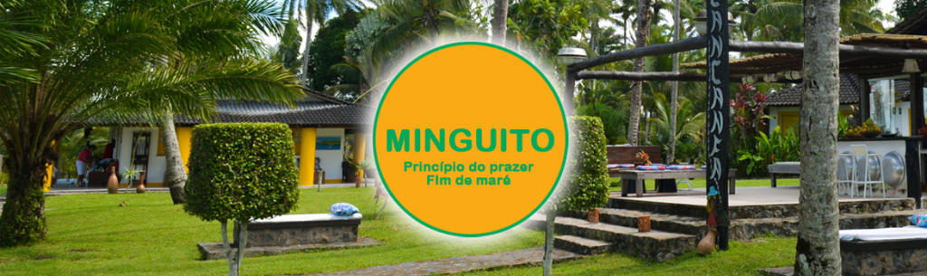 O atributo alt desta imagem está vazio. O nome do arquivo é img_anuncio_titulo-minguito-1024x305.png